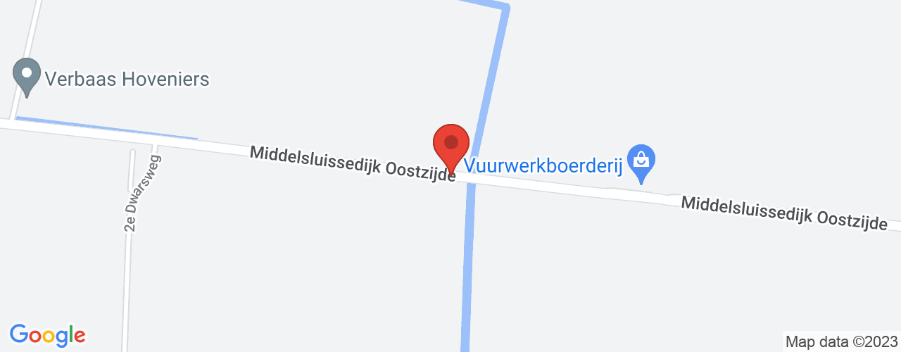 Google Maps afbeelding van de locatie van het incident. De locatie "51.7418627,4.473978499999999" is aangegeven met een rode marker.