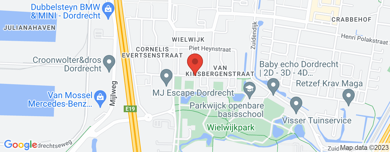 Google Maps afbeelding van de locatie van het incident. De locatie "51.787806,4.6544648" is aangegeven met een rode marker.