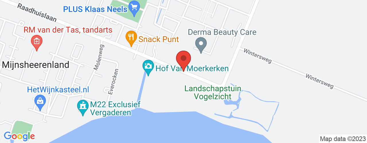 Google Maps afbeelding van de locatie van het incident. De locatie "51.7965318,4.4962731" is aangegeven met een rode marker.