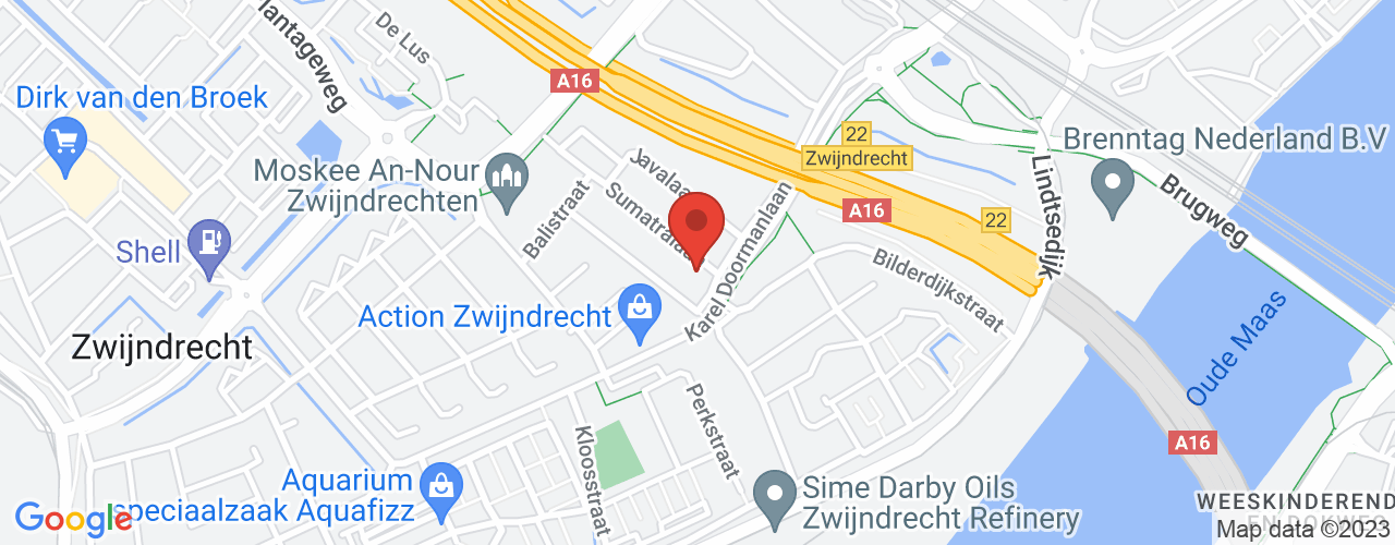 Google Maps afbeelding van de locatie van het incident. De locatie "51.811086,4.6384848" is aangegeven met een rode marker.