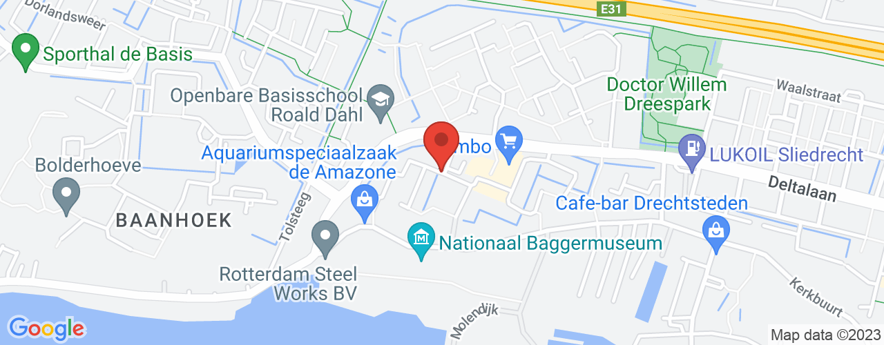 Google Maps afbeelding van de locatie van het incident. De locatie "51.8258797,4.757582" is aangegeven met een rode marker.