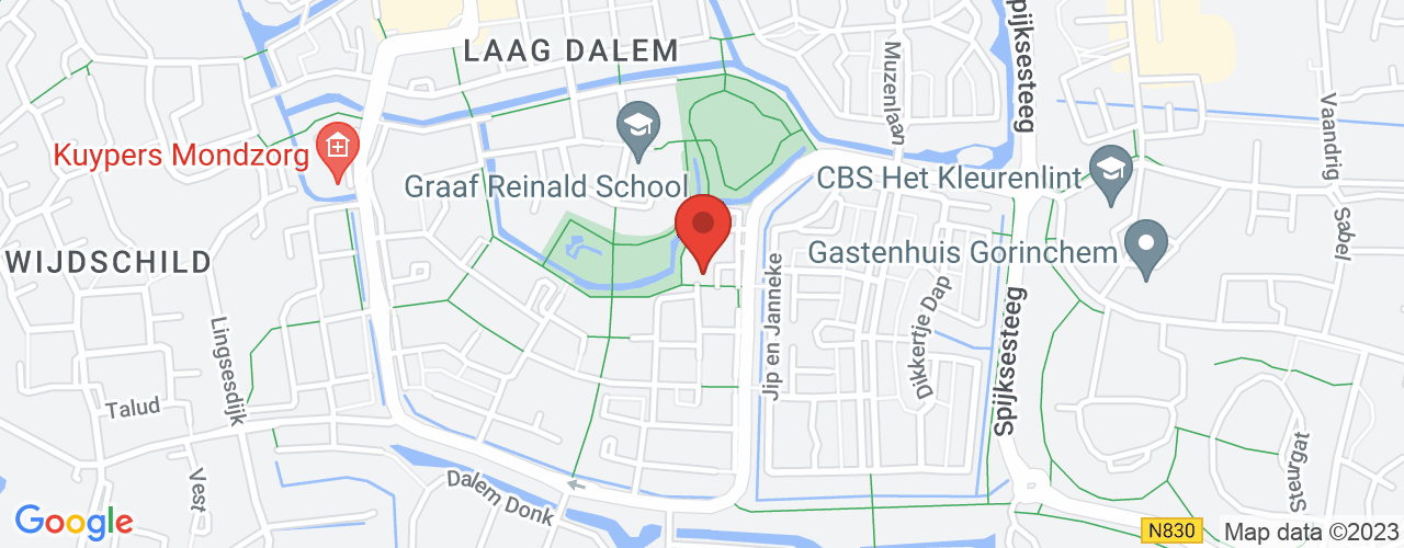 Google Maps afbeelding van de locatie van het incident. De locatie "51.83369760000001,4.998628300000001" is aangegeven met een rode marker.