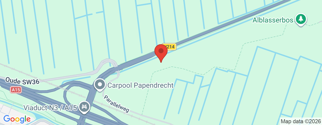 Google Maps afbeelding van de locatie van het incident. De locatie "51.841922, 4.719004" is aangegeven met een rode marker.
