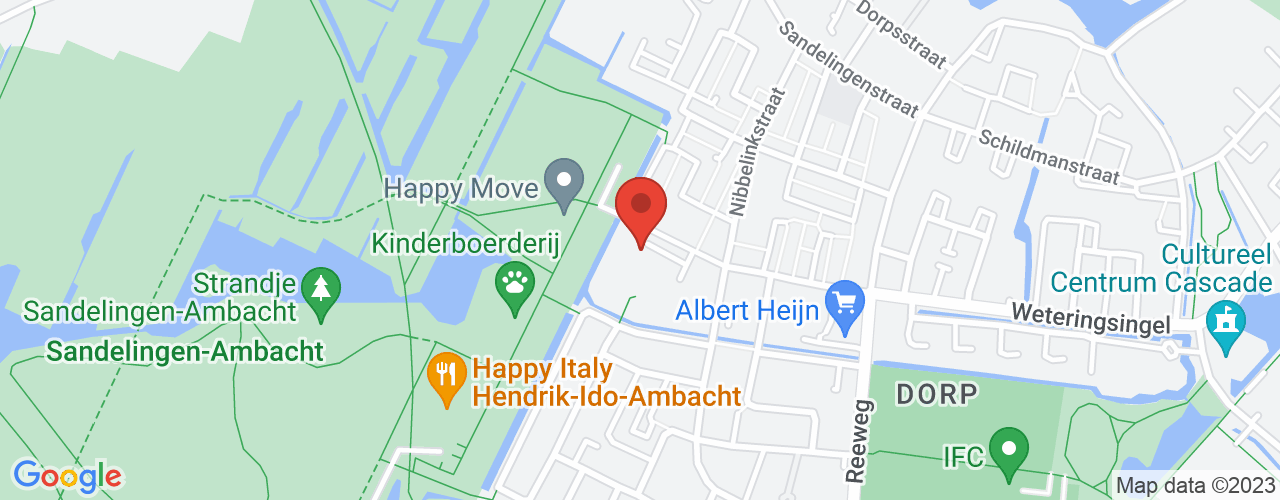 Google Maps afbeelding van de locatie van het incident. De locatie "51.8463985,4.625994700000001" is aangegeven met een rode marker.