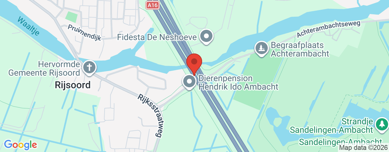 Google Maps afbeelding van de locatie van het incident. De locatie "51.847944, 4.605876" is aangegeven met een rode marker.