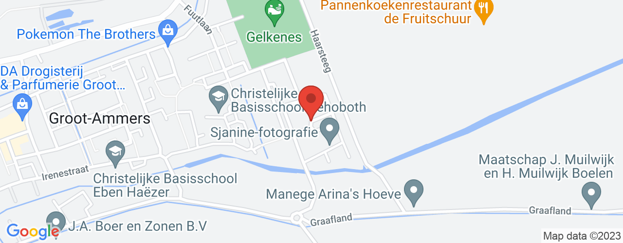 Google Maps afbeelding van de locatie van het incident. De locatie "51.9245519,4.8346135" is aangegeven met een rode marker.