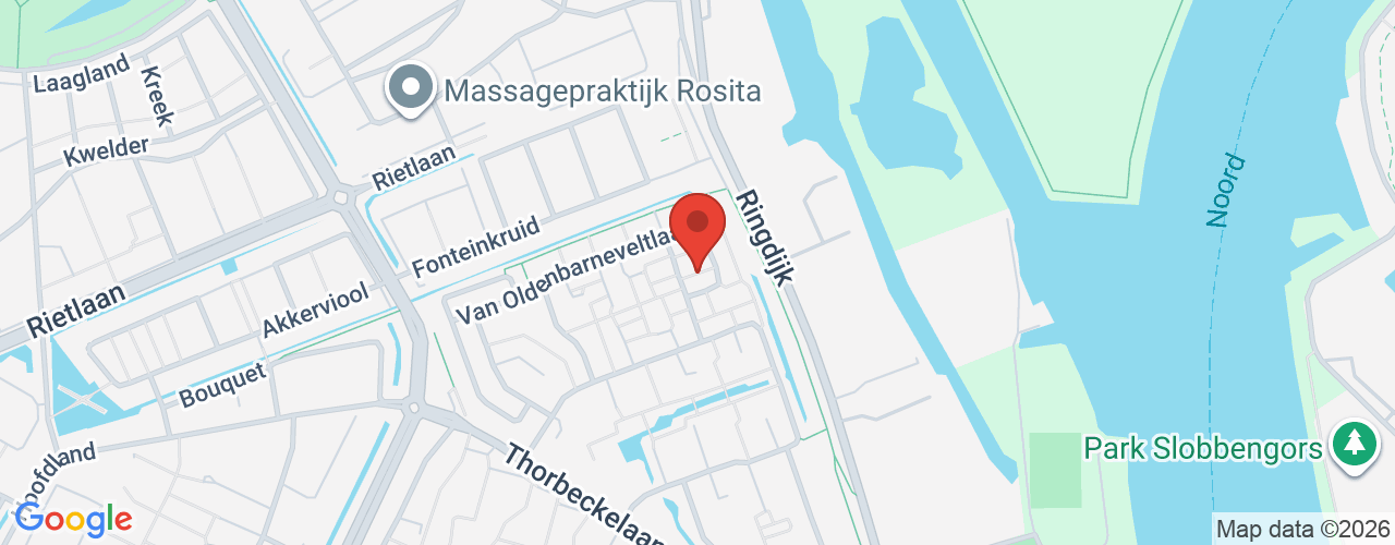 Google Maps afbeelding van de locatie van het incident. De locatie "Adriaan Pauwpad Zwijndrecht" is aangegeven met een rode marker.
