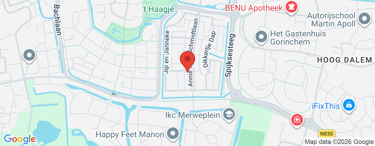 Google Maps afbeelding van de locatie van het incident. De locatie "Annie M.G. Schmidtlaan 66, Gorinchem" is aangegeven met een rode marker.