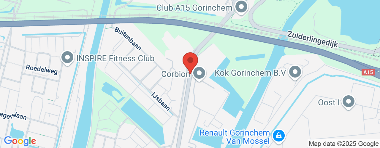Google Maps afbeelding van de locatie van het incident. De locatie "Arkelsedijk, Gorinchem " is aangegeven met een rode marker.