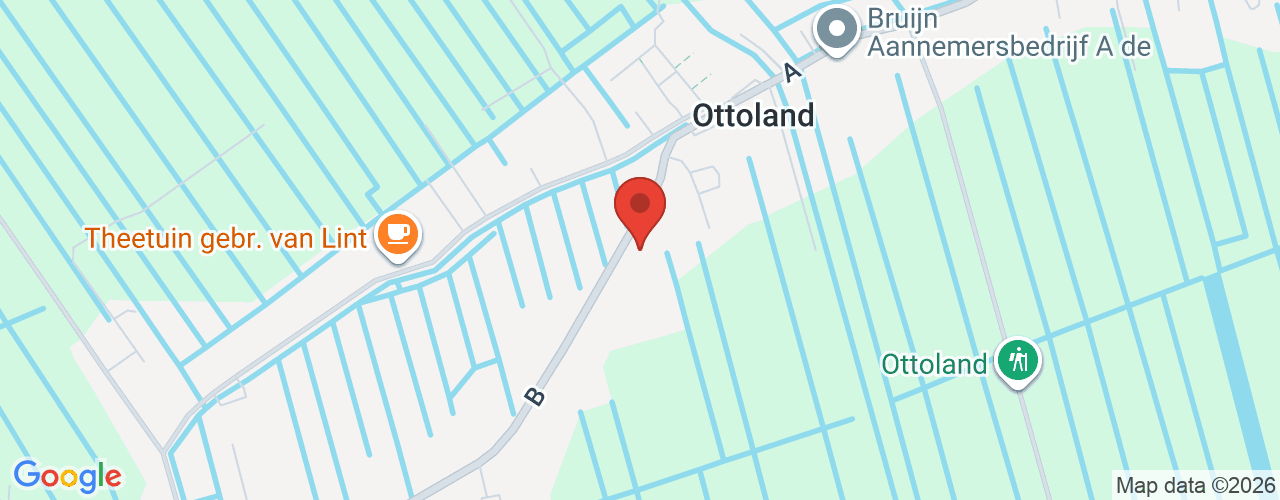 Google Maps afbeelding van de locatie van het incident. De locatie "B 50, Ottoland" is aangegeven met een rode marker.