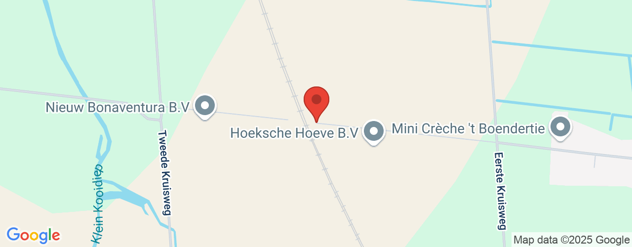 Google Maps afbeelding van de locatie van het incident. De locatie "Boendersweg ‘s-Gravendeel" is aangegeven met een rode marker.
