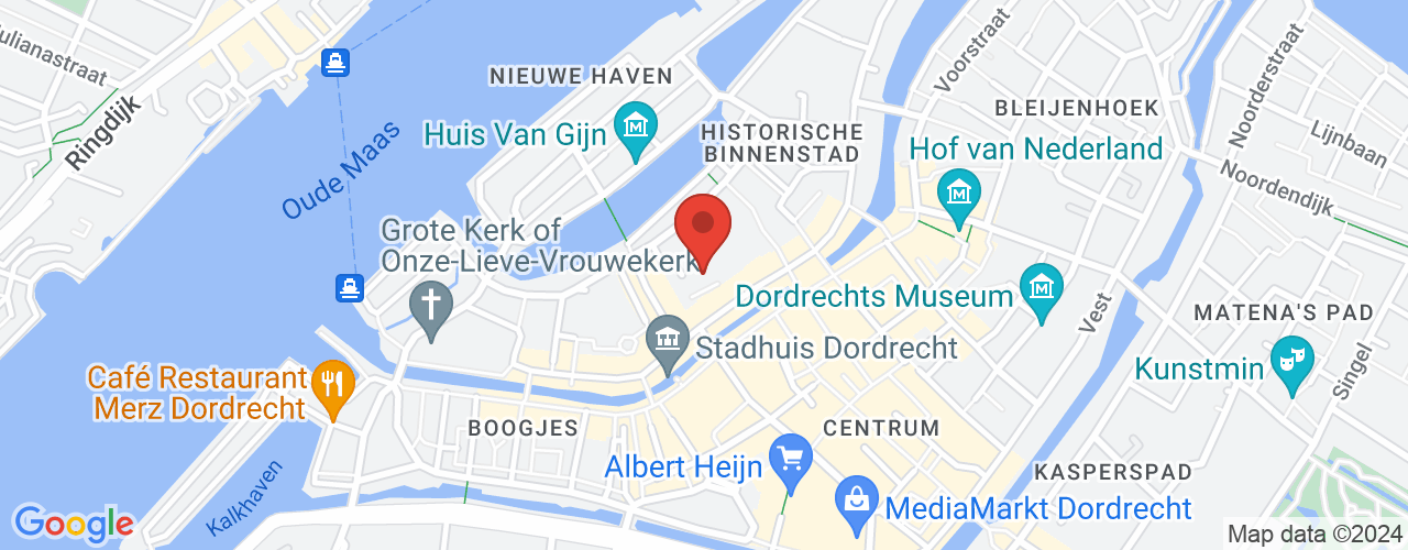 Google Maps afbeelding van de locatie van het incident. De locatie "Buddingh' Plein, Dordrecht" is aangegeven met een rode marker.