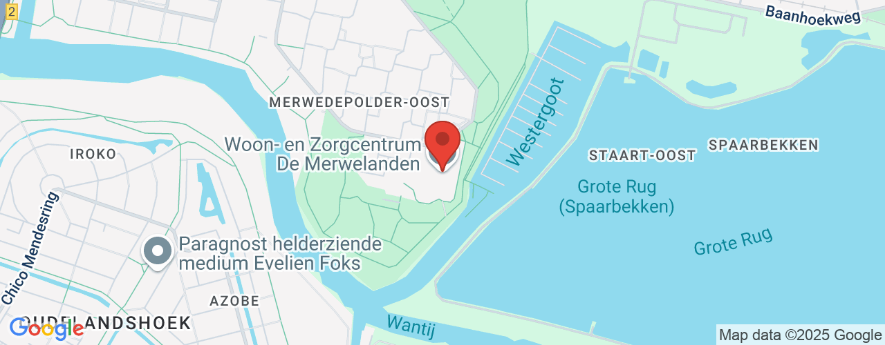 Google Maps afbeelding van de locatie van het incident. De locatie "Haringvlietstraat 515, Dordrecht" is aangegeven met een rode marker.