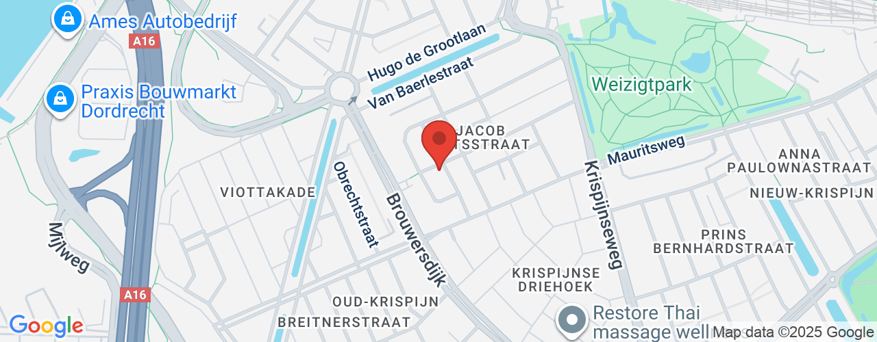 Google Maps afbeelding van de locatie van het incident. De locatie "Jacob Catsstraat 114 Dordrecht" is aangegeven met een rode marker.