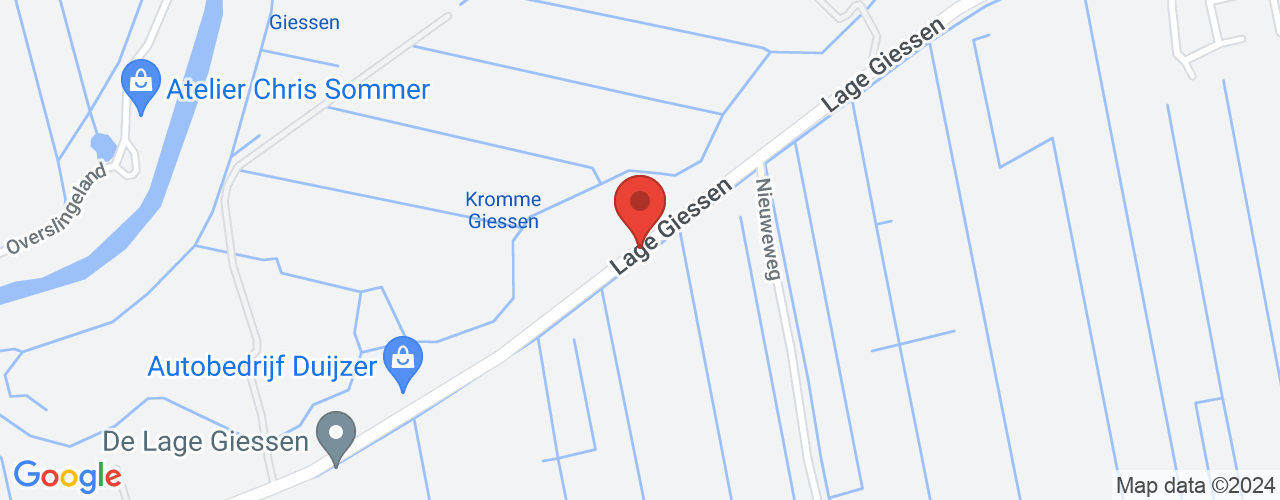 Google Maps afbeelding van de locatie van het incident. De locatie "Lage Giessen, Hoornaar" is aangegeven met een rode marker.