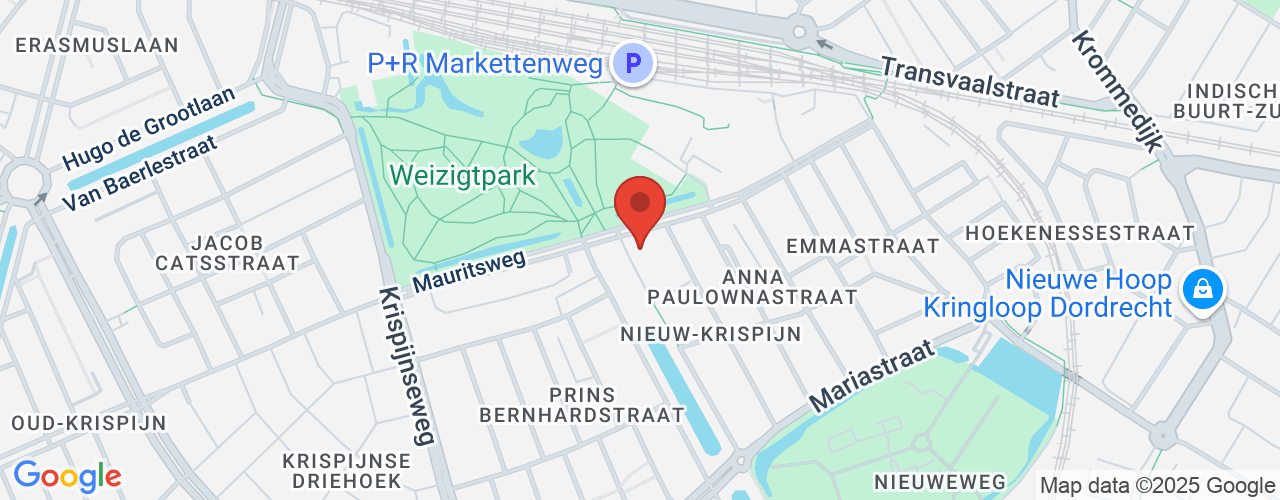 Google Maps afbeelding van de locatie van het incident. De locatie "Nassauweg 2, 3314 JR Dordrecht" is aangegeven met een rode marker.