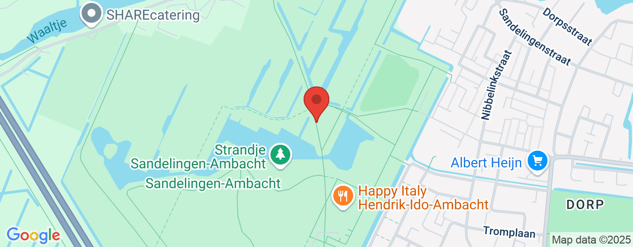 Google Maps afbeelding van de locatie van het incident. De locatie "Palmhoevepad, Hendrik-Ido-Ambacht" is aangegeven met een rode marker.