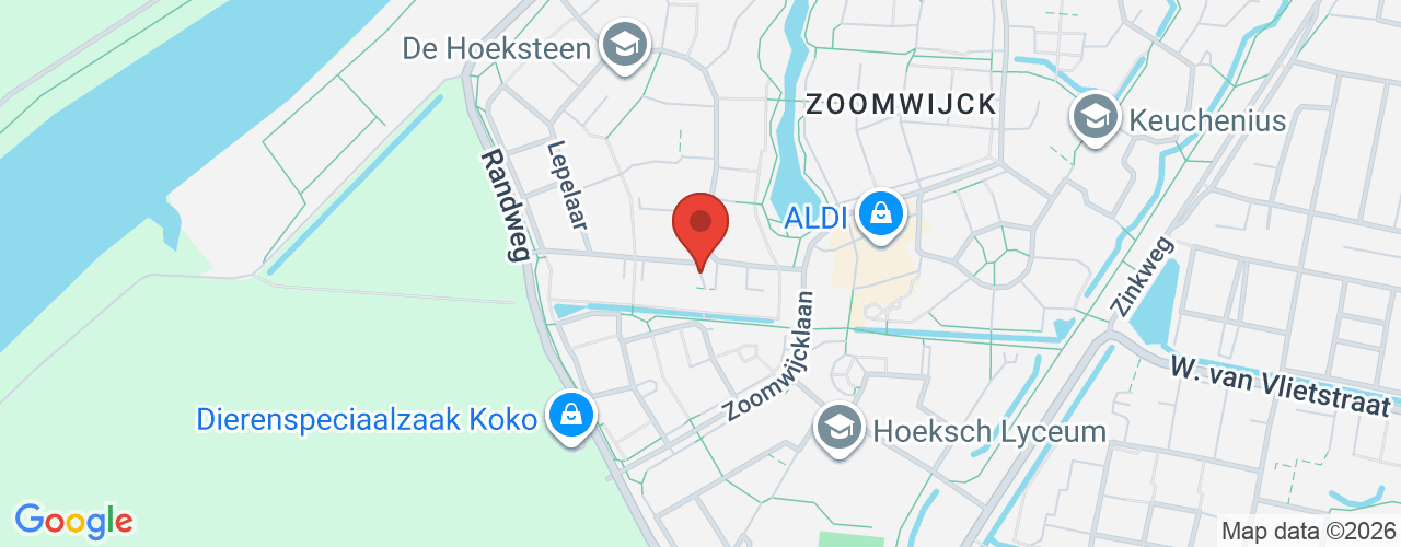 Google Maps afbeelding van de locatie van het incident. De locatie "Plevier, Oud-Beijerland " is aangegeven met een rode marker.