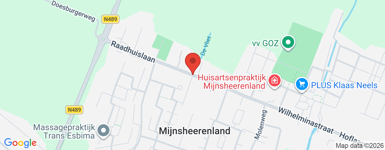 Google Maps afbeelding van de locatie van het incident. De locatie "Raadhuislaan, Mijnsheerenland " is aangegeven met een rode marker.