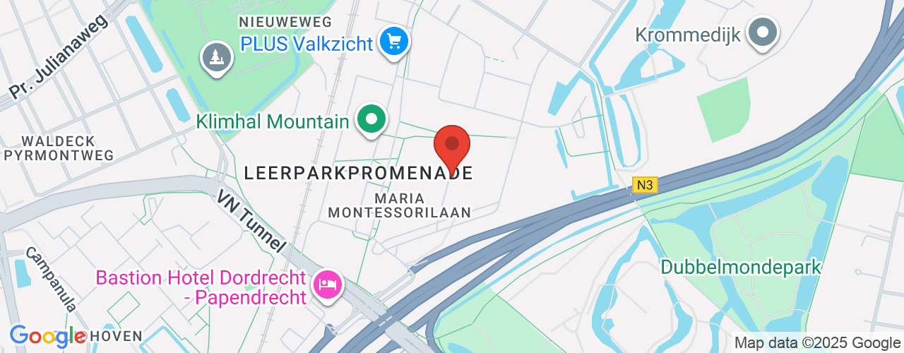 Google Maps afbeelding van de locatie van het incident. De locatie "Regio Zuid-Holland Zuid" is aangegeven met een rode marker.