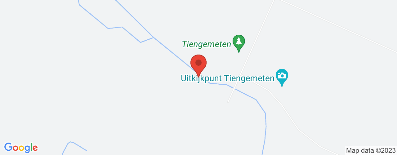 Google Maps afbeelding van de locatie van het incident. De locatie "Tiengemeten" is aangegeven met een rode marker.