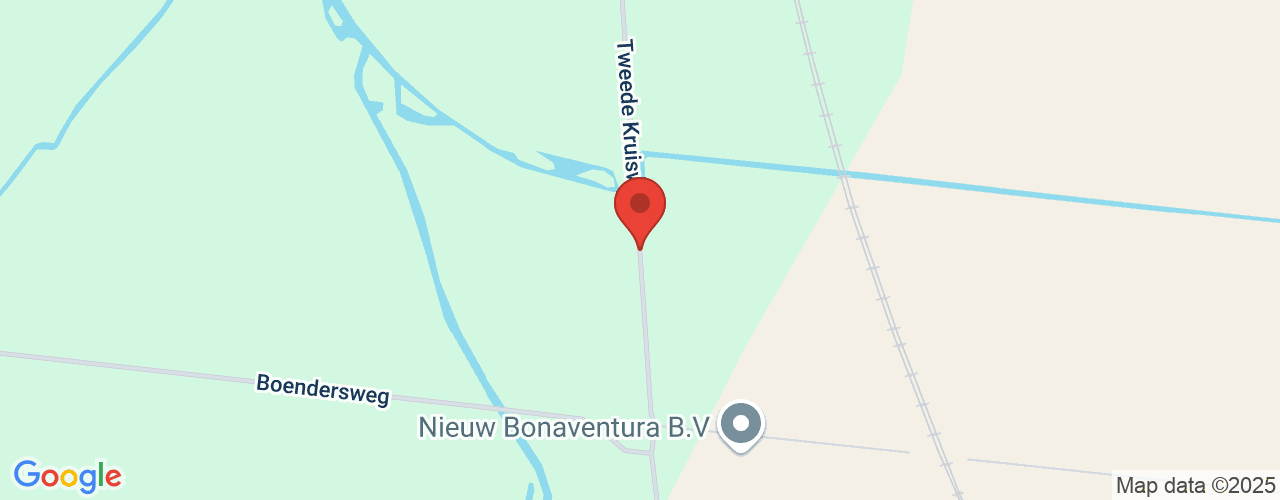 Google Maps afbeelding van de locatie van het incident. De locatie "Tweede Kruisweg 's-Gravendeel" is aangegeven met een rode marker.