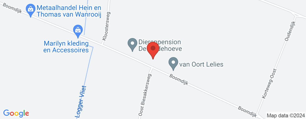 Google Maps afbeelding van de locatie van het incident. De locatie "boomdijk 12, klaaswaal " is aangegeven met een rode marker.